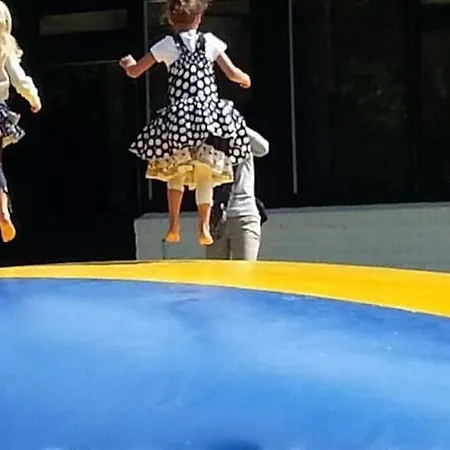 Holiday home Vrijstaande Recreatievilla Met Ruime Omheinde Tuin *